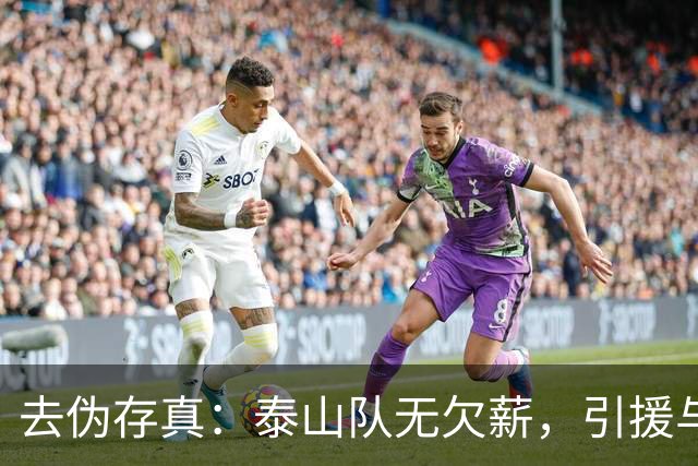 去伪存真：泰山队无欠薪，引援与教练难题待解
