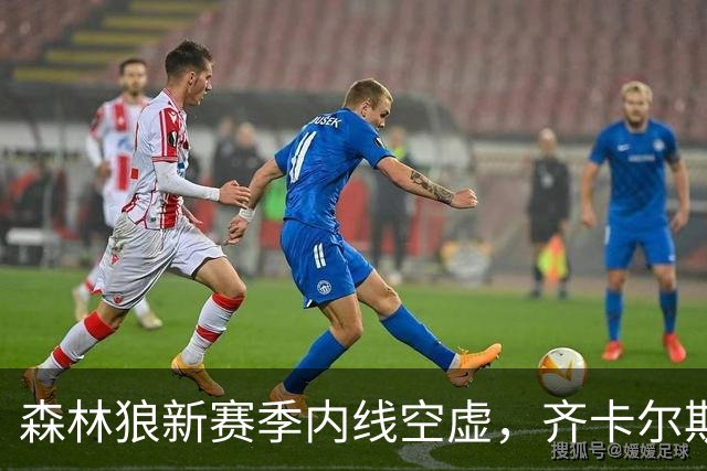 森林狼新赛季内线空虚，齐卡尔斯基需要抓住机会